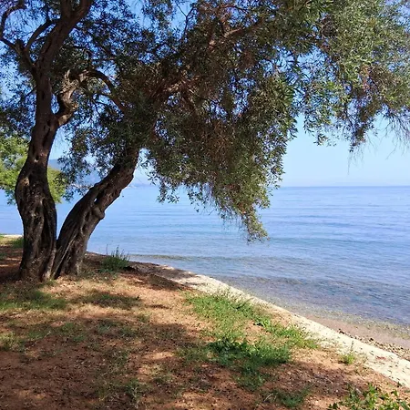 Case de vacanță Albert's Place Kato Spilaion